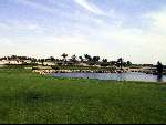 Dubai 6 Mei 2001
Jebel Ali Golfbaan
Golfen