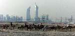 Dubai 8 mei 2001
Kamelendrijvers kamelenraces Erg jonge Kamelenjockeys ( v.a. 7 jaar) voor het rijden van wedstrijden en vooral het gokken voor de ouderen