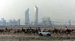 Dubai 8 mei 2001
Kamelendrijvers kamelenraces Erg jonge Kamelenjockeys ( v.a. 7 jaar) voor het rijden van wedstrijden en vooral het gokken voor de ouderen