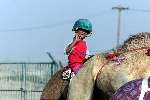 Dubai 8 mei 2001
Kamelendrijvers kamelenraces Erg jonge Kamelenjockeys ( v.a. 7 jaar) voor het rijden van wedstrijden en vooral het gokken voor de ouderen