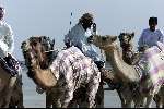 Dubai 8 mei 2001
Kamelendrijvers