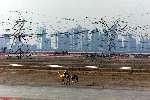 Dubai 8 mei 2001
Kamelendrijvers kamelenraces Erg jonge Kamelenjockeys ( v.a. 7 jaar) voor het rijden van wedstrijden en vooral het gokken voor de ouderen 
Industrie op achtergrond