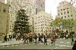 New York 19 november 2000
Winkels op de fifth Avenue
Kerstmis
Opbouw van traditionele Kerstboom