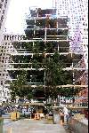 New York 19 november 2000
Winkels op de fifth Avenue
Kerstmis
Opbouw van traditionele Kerstboom