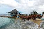 Curacao 7 mei 2002
Prins Willem Alexander en Maxima op Curacao met persconferentie  ivm Pim Fortuyn