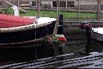 Eenden nest bij sloep