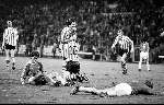 Eindhoven, 3 November 1979
PSV-Excelsior
Harry Lubse heeft gescoord