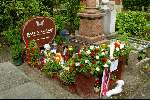 Heemstede 25 mei 2003
moeder bart de graaff bij graf bart op de dag dat hij 1 jaar dood is
