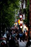 Amsterdam 23 mei 2003
De Wallen