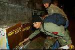 Amsterdam 10 april 2003
georgina verbaan  posters plakken voor behoud  oerang oetan