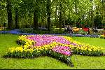 Lisse 6 mei 2003
keukenhof in lisse
