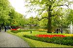 Lisse 6 mei 2003
keukenhof in lisse