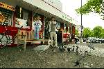 Amsterdam 6 mei 2003
2 reigers eten bij de FEBO
