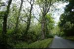 Schotland 10 mei 2003
Skibo Castle, op dit kasteen zijn o.a. Madonna en Paul Mc Cartney getrouwd