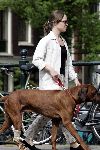 Amsterdam 16 mei 2004
Prinses Margaritha wandelen met hond