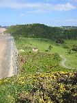 Baillet en France 8 mei 2005
Golfbaan Pleneuf Val Andre van Golf Blue green