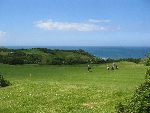 Baillet en France 8 mei 2005
Golfbaan Pleneuf Val Andre van Golf Blue green