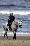 Katwijk 29 mei 2005
Koningin Beatrix paard rijden op het strand van katwijk.