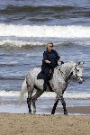 Katwijk 29 mei 2005
Koningin Beatrix paard rijden op het strand van katwijk.