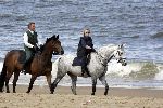 Katwijk 29 mei 2005
Koningin Beatrix paard rijden op het strand van katwijk.