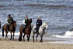 Katwijk 29 mei 2005
Koningin Beatrix paard rijden op het strand van katwijk.
