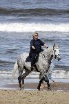 Katwijk 29 mei 2005
Koningin Beatrix paard rijden op het strand van katwijk.