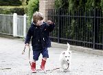 Amsterdam 11 mei 2005
Thijmen Oerlemans met hond evert