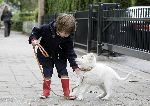Amsterdam 11 mei 2005
Thijmen Oerlemans met hond evert