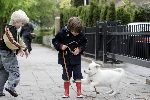 Amsterdam 11 mei 2005
Thijmen Oerlemans met hond evert