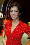 Den Bosch 22 oktober 2006
Premiere Grease.
Cystine Carreon