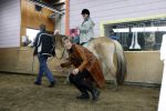 Almere 3 november 2006
Prinses laurentien op manege met verstandelijk gehandicapten voor Make a difference day.