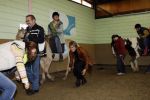 Almere 3 november 2006
Prinses laurentien op manege met verstandelijk gehandicapten voor Make a difference day.
Peter Smulders bv