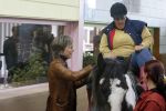 Almere 3 november 2006
Prinses laurentien op manege met verstandelijk gehandicapten voor Make a difference day.
Peter Smulders bv