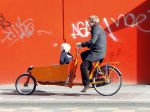 Amsterdam 14 oktober 2009
bastiaan Ragas met zoon Sem in de bakfiets.
Peter Smulders bv