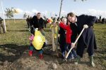 Benthuizen 17 oktober 2009
Nationale boomplantdag. Onno Hoes
Peter Smulders bv