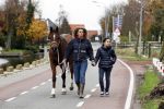 den Ilp 5 november 2010
Fajah Lourens haalt haar dochter Irem van school en gaat daarna met haar naar haar paarden op de manege.
Peter Smulders bv