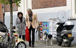 Amsterdam 26 oktober 2010
Henriette Tol met man en hond op de pc hooftstraat.
Peter Smulders bv