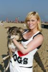 Scheveningen 2 oktober 2011
Bridget Maasland organiseert de dogwalk op het strand van Scheveningen.
Peter Smulders bv