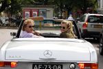 Amsterdam 20 augustus 2011
Wesly Bronkhorst met zijn vriendin Renee Gunning in Mercedes cabrio.
Peter Smulders bv