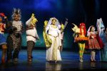 Amsterdam 4 november 2012
Premiere Shrek in het theater van de RAI. Kim Lian v d MEIJ
Peter Smulders bv