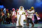 Amsterdam 4 november 2012
Premiere Shrek in het theater van de RAI. Kim Lian v d MEIJ
Peter Smulders bv
