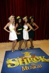 Amsterdam 4 november 2012
Premiere Shrek in het theater van de RAI. promotie dames
Peter Smulders bv