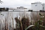 Aalsmeer 30 oktober 2012
Yacht van Steve Jobs gebouwd bij de Vries in Aalsmeer.
Peter Smulders bv