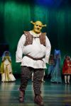 Amsterdam 4 november 2012
Premiere Shrek in het theater van de RAI. William Spaaij als shrek
Peter Smulders bv