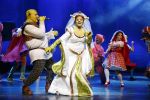 Amsterdam 4 november 2012
Premiere Shrek in het theater van de RAI. William Spaaij als shrek
Peter Smulders bv