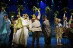 Amsterdam 4 november 2012
Premiere Shrek in het theater van de RAI. William Spaaij als shrek
Peter Smulders bv