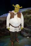 Amsterdam 4 november 2012
Premiere Shrek in het theater van de RAI. William Spaaij als shrek
Peter Smulders bv