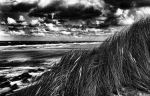 Vlieland, 30 Oktober 2013