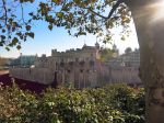 Londen, 3 -4 en 5 November 2014
Harrods, Tower Bridge, Ondergrondse
