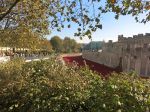 Londen, 3 -4 en 5 November 2014
Harrods, Tower Bridge, Ondergrondse